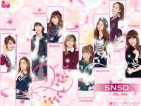 SNSD new Vita 500 [2]