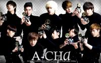 Super Junior 'A-CHa'