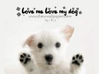 loveMeLoveMyDog