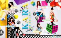 KARA_STEP-Ver.5