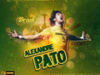Pato_Brazil