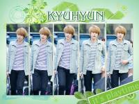 kyuhyun