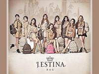 SNSD J.Estina Bag *Vintage 1*