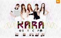 KARA Step w