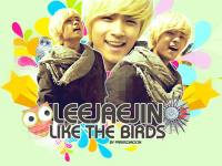 Jaejin - Like the Birds