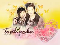 taokacha 