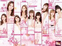 SNSD new Vita 500 [8] pink