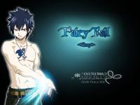 Fairy Tail [Gray]