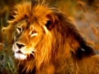 The Lion