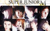 SJ-M :: Perfection Japanese ver.