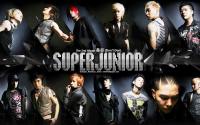 Super Junior 2nd Album 돈돈! (Don't Don)