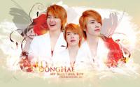 SUPER JUNIOR : DONGHAE - Beautiful Boy :'))