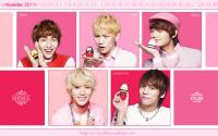 SHINEE ETUDE With Calendar November 2011