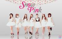 A-PINK {2nd mini album 'SNOW PINK' WD}