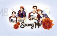 SM : Seung Mir MBLAQ