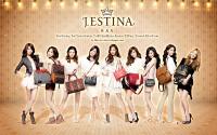 SNSD J.ESTINA BAG