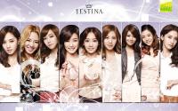 SNSD J.Estina Bag Winter ver.3