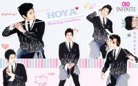 hoya - infinite