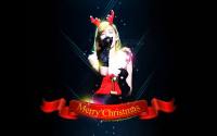 SNSD ♥ Taeyeon Merry Christmas 2011 w