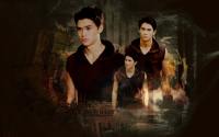 Seth Clearwater : The twilight saga breaking dawn part. 1