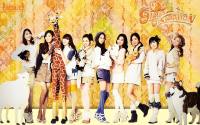 Girls' Generation ::Goobne Chicken 2011 Vintage::