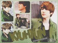 Kyuhyun :: Super Junior