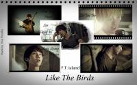 FT Island | Like The Birds