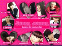 super junior