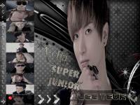 ::leeteuk_acha::