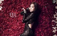 Fei Miss A --- Touch