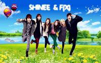 shinee & f(x)