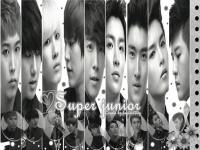 ::super_junior::