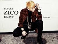 zico_block b