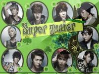 ::super_junior::