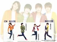 cn blue 2012