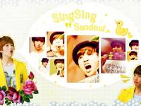Sing Sing Sandeul