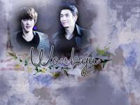 {♥} wonkyu ; they're in love