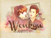 {♥} wonkyu ; sweet heart