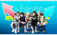 Shinee together