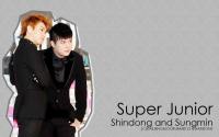 Shindong and sungmin1