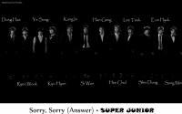 Remember Back | Sorry, Sorry (Answer) - Super Junior