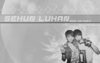 EXO :: HunHan