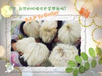 head_b.a.p