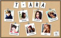 T-ARA Polaroid Board