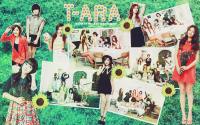 T-ARA (G-market)