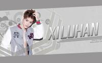 EXO :: Xi Luhan