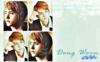 son dongwoon