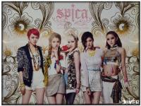 SPICA'painkiller'