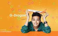 G-Dragon --Jeju Airlines