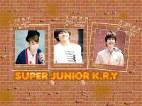 super junior k.r.y